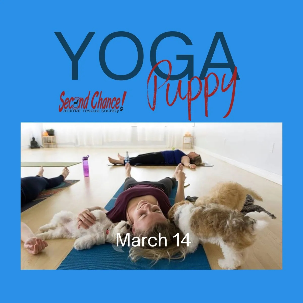 2025 03 10 PuppyYoga